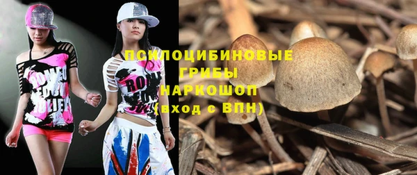 скорость Арсеньев
